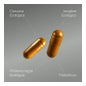 Aldous Bio Curcuma Gingembre & Poivre Noir + Probiotiques 250 Capsules