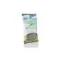 Gordolobo En Planta 10 Gr *