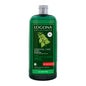 Logona Shampooing Usage Fréquent Ortie 500ml