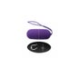 Intense Flippy I Egg Télécommande Lilas 1 pc