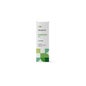 Terpenic Menthe Verte 10ml
