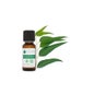 Voshuiles Huile Essentielle D'Eucalyptus Radiata 20ml