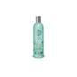 Natura Siberica shampooing antipelliculaire 400ml