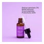 Segle Clinique Sérum Facial Sérum Noche Tinolvital 30 Ml