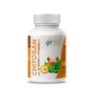 GHF Chitosan + Thé Vert + Vitamine C 600mg 100caps