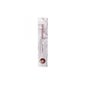 Stevia del Condado Thé blanc fruité avec Stevia Bio 15 Pyramides