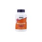Conserves de pigeon blanc Myrtilus Paloma Blanca Bio 320 g