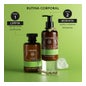Apivita Tonic Mountain Tea Body Milk 200ml
