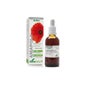 Extracto Amapola 50ml Xxi Soria Natural *