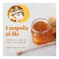 Arkopharma Arkoreal Gelée Royale Forte Plus 20 Ampoules