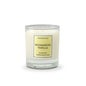 Cereria Molla Bougie Madagascar Vanille 1pc