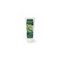Plameca Aloe Vera Topical Gel 200ml