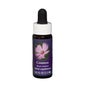 Flower Essence Services Cosmos Flower Essence 7.5ml