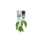 Le Comptoir Aroma Huile Essentielle Ravintsara Bio 10mL