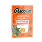 Ricola bonbons sans sucre à la menthe et à l'orange 50g