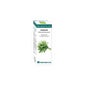 Huile Essentielle Bio Estragón 10 Ml.