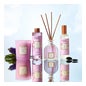 Collines de Provence Bouquet Parfumé Patchouli & Tonka 100ml
