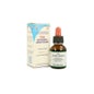 Herboplanète Tsa Artemisia Absinthium 50 ml