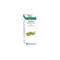 Bio Huile Essentielle Cardamome 10 Ml.