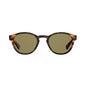 Polaroid Pld 6042/S 086 SP Lunettes Soleil Havana 1ut