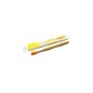 Brosse à dents nordique 100% biodégradable en bambou