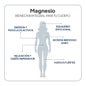 Ivb Wellness Lab Magnésium Total 60caps