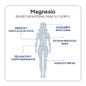Ivb Wellness Lab Magnésium Total 60caps