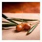 Ogx Renewing Argan Oil of Morocco Huile pénétrante 100ml