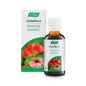 A. Vogel Cistoforce Gouttes 50ml