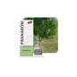 Ravensara Huile Essentielle BIO 10ml