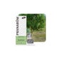 Ravensara Huile Essentielle BIO 10ml