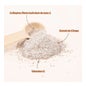 Saeve Immortalis Chaga Collagène Marin & Chaga Vitamine C 174g