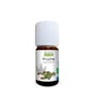 Propos'Nature Huile Essentielle de Pruche Bio 5 ml