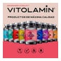 Vitolamin Biotina + Zin + Selenio 365comp