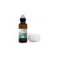 Propos'Nature Roll on Aroma Bio Tête & Tempes 5 ml