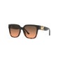 Michael Kors MK2170U Karlie Sunglasses 1ut