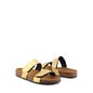 Scholl Greeny 2 Straps Recpet Gold T35 1 Paire