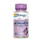 Solaray Saw Palmetto 60 Perles