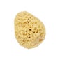 Vitry Eponge de mer naturelle 11cm