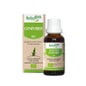 Herbalgem Macérat Concentré de Genévrier Bio 30ml