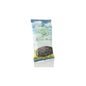 Cereza En Rabos 50 Gr *