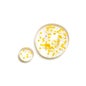 L'Occitane Immortelle Reset Nuit Huile-En-Sérum 30ml