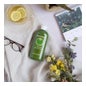 Naturtint Eco Reestructuration Champagne 330ml