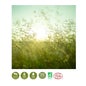 Phytalessence Poudre De Cumin Bio 60 Gélules