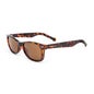 Converse Gafas Sol Sco09152Tort Hombre 52mm 1ud