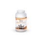 Etixx Recovery Shake Framboise/Kiwi 1500g