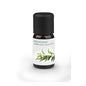 Medisana eucalyptus humidificateur ultrason 10ml