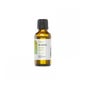 Terpenic Mastic Hydrolat Bio 100ml