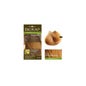 Biok Tinte Delic 7,33 Rubio Golden Wheat