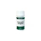 Holofit Ayurveda Ginger Ginger 50caps